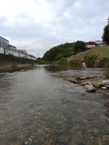 河。もう夏も終わり。「自然【京都市南区・京都テルサ・ジム・プール・こども・駐車場完備】」