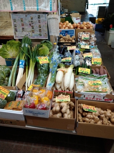 「小樽まーちゃん漬物屋です今日も元気に営業中」