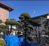 「伊丹市でお庭の管理をしました！」