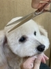 「ご来店ありがとうございます」