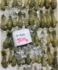 「魚魚市場鮮魚コーナーおすすめは「生シャコ・徳島市県産あゆ」です♪」