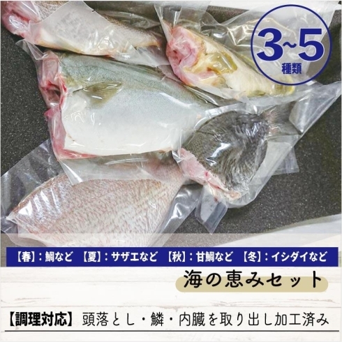 「【敬老の日】お魚を注文しました！　割引適用は本日まで！」