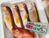 魚魚市場鮮魚コーナーおすすめは アマダイ 金目鯛 です 魚魚の宿のニュース まいぷれ 佐世保