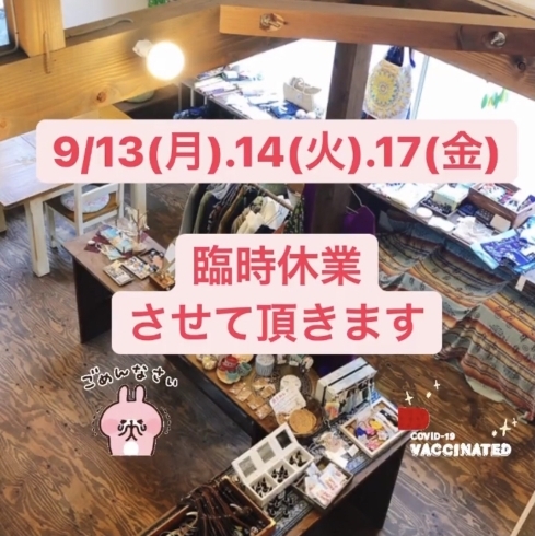 「マグプラ9月後半の予定&新商品入荷」