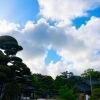 「今日の言葉&一言メッセージ」