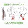 腰痛トリガーポイント治療 ふじもり桜花整骨院 交通事故治療 鍼灸師募集 加圧トレーニング 脱毛サロン 痩身エステ ふじもり桜花整骨院のニュース まいぷれ 八王子市