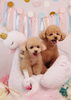 Happy　birthday　「Anniversary photo　(^O^)／」