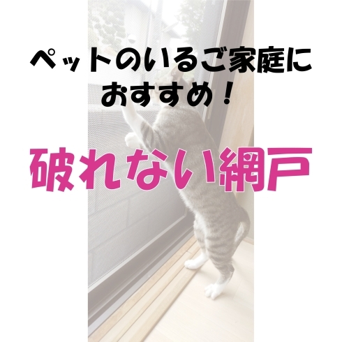 ペットのいるご家庭におすすめ！破れない網戸「ペットのいるご家庭におすすめ！破れない網戸」