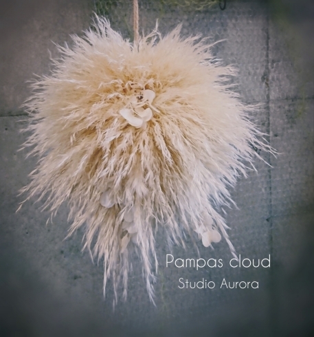 「Pampas cloud」