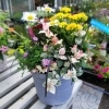 敬老の日のギフトにいかがでしょうか？「お待たせいたしました‼️秋のガーデニングに最適なお花が沢山入荷しました☺️」