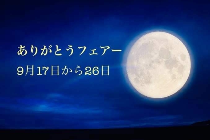 「ありがとうフェア開催！素敵なお洋服をお得に買える【LIFE TIME PIYOKO】」