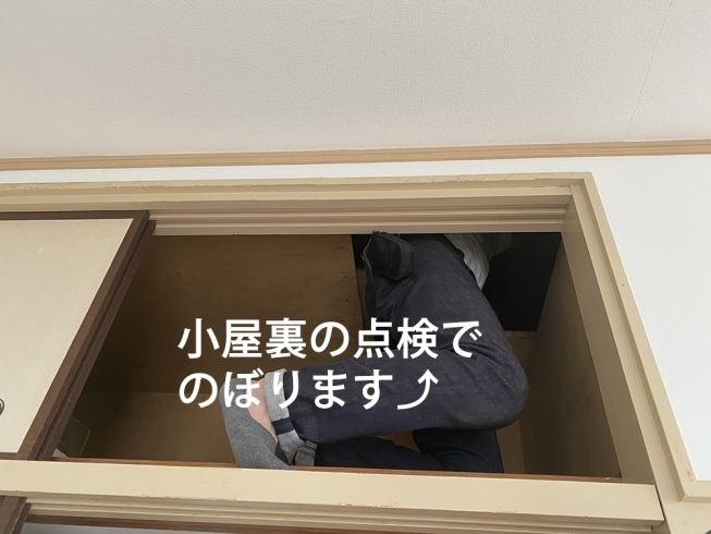 耐震診断　小屋裏点検「一戸建て木造住宅の「耐震診断」で地震への備えを」