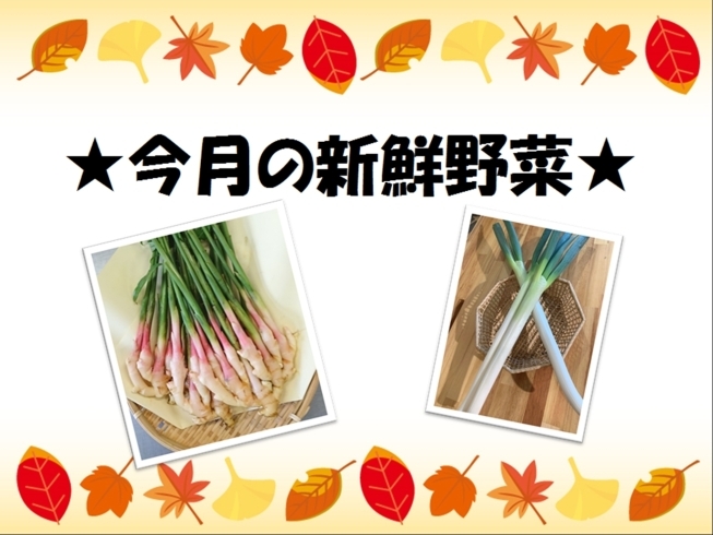 今月の新鮮野菜「★今月の新鮮お野菜★」