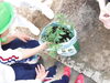 おいしくな～れ、おいしくなァれ！「菜園に野菜が！」
