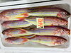 「魚魚市場鮮魚コーナーおすすめは、「バーベキュー3点セット」です♪」