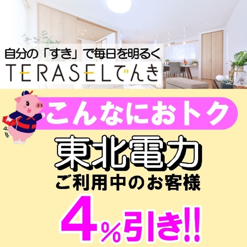 TERASELでんき「TERASELでんき」