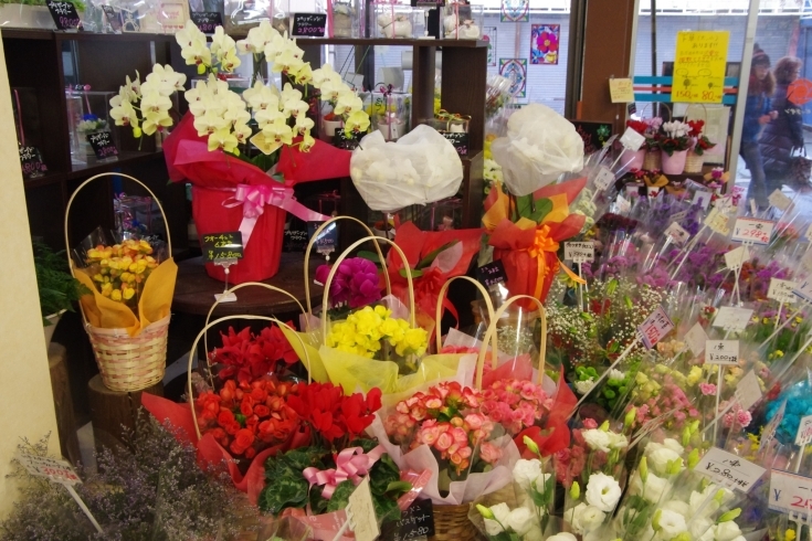 「フラワーショップ クロッカス」ボリュームたっぷりの新鮮な生花を安く販売しております！！