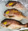「魚魚市場鮮魚コーナーおすすめは「養殖鯛」です♪」