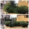 「西宮市でマンションの植栽の剪定をしました！」