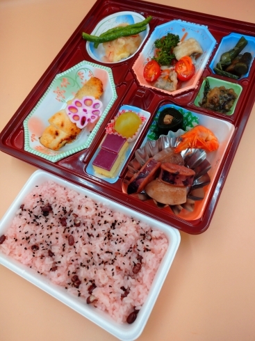 「お弁当、折詰め♪」