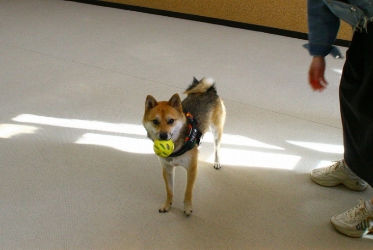 「今日のお友達」