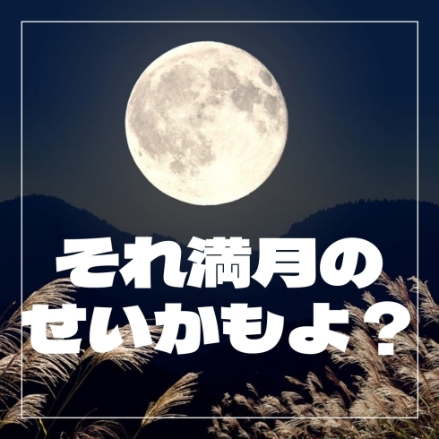 満月「それ…満月のせいかもよ？」