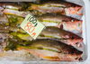 「魚魚市場鮮魚コーナーおすすめは「シマアジ・ヤリイカ」です♪」