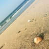 誰もいない海