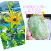 「お客様からの頂き物」