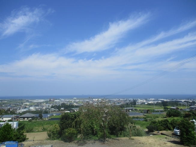 気持ちいい秋空「剪定」