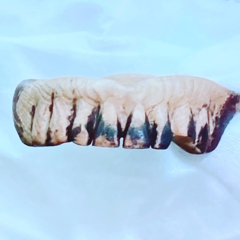 上の入れ歯です「これはなんでしょう？？ #福岡#大野城歯科#発見#歴史#江戸時代」