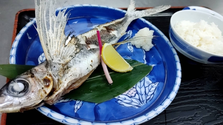 「9月24日(金) 魚魚レストランのおすすめランチは「飛び魚の塩焼き」です♪」