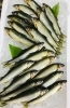 「魚魚市場鮮魚コーナーおすすめは「あゆ・ヤイト」です♪」