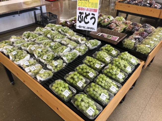 シャインマスカットございます！「ぶどうございます！」