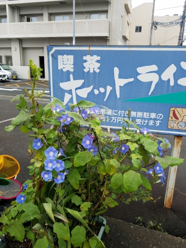 「ホットライン10月のお休みのお知らせ。」