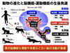 資料「【リハビリ】ヒトの動き」