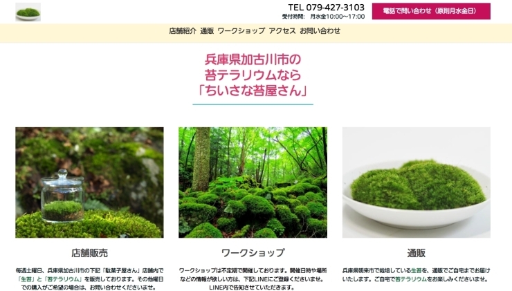 「兵庫県加古川市の苔テラリウムなら「ちいさな苔屋さん」」