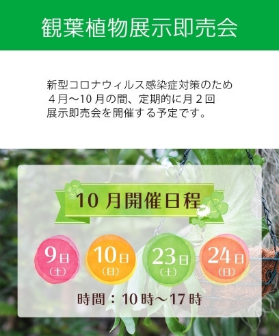 「【10月】観葉植物展示即売会のお知らせ」