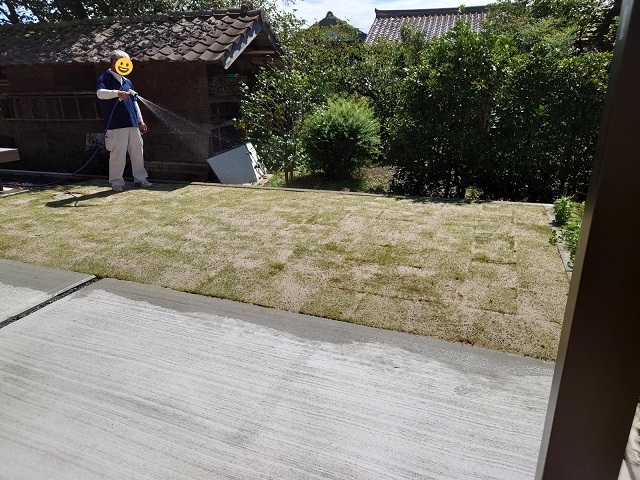 来年の春には鮮やかな緑色の芝で雰囲気が変わります「芝張り工事（コウライ芝）　出雲市」