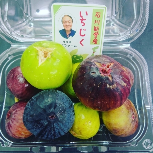 6種類のいちじく食べ比べセット「旭川果物専門店！秋真っ盛り✨旬の果物を先取り！」