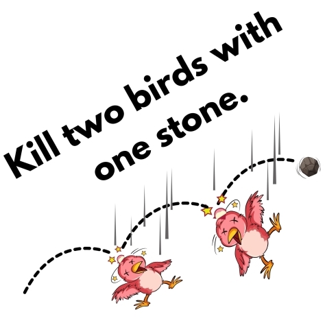 Or three birds?「Teacher'sコーナー85号 一石二鳥 OR Kill 2 birds with 1 stone.  蘇我駅近くの英会話教室】043-209-2310」