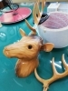 「鹿の角の修理（ ＾ν＾）」