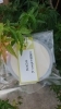 京白丹波大豆で作った絹こし！復活✨「10月２日は豆腐の日＼(^^)／《西京区 大原野 上田とうふ直売所 上田とうふ 京白丹波大豆 絹こし》」