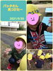 「バッタさん 見つけた～  交野市  小規模保育園」