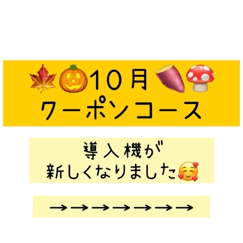 「１０月のクーポンコースです」