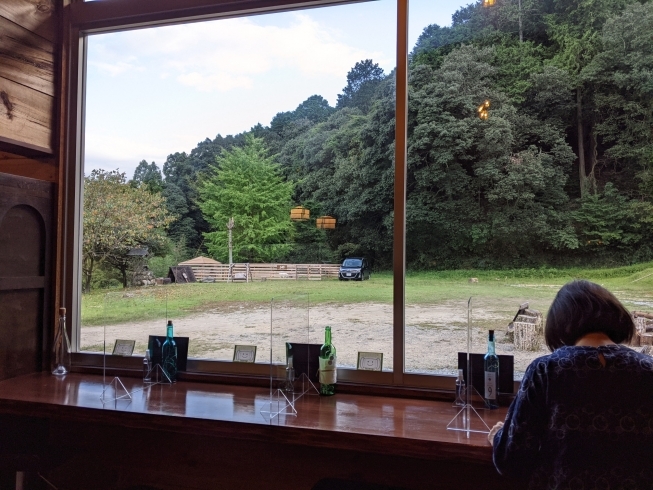 巨大窓「今年は御所市カフェの「Tsumugu」で秋を楽しみませんか？」