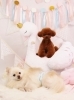 Happy birthday　ミルクくん「Anniversary photo　(^O^)／」