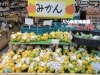 大分県愛媛県より直送 極早生みかん 入荷しております 大府市 野菜直売 農場長 田畑耕作 リソラ大府店のニュース まいぷれ 大府市 東海市