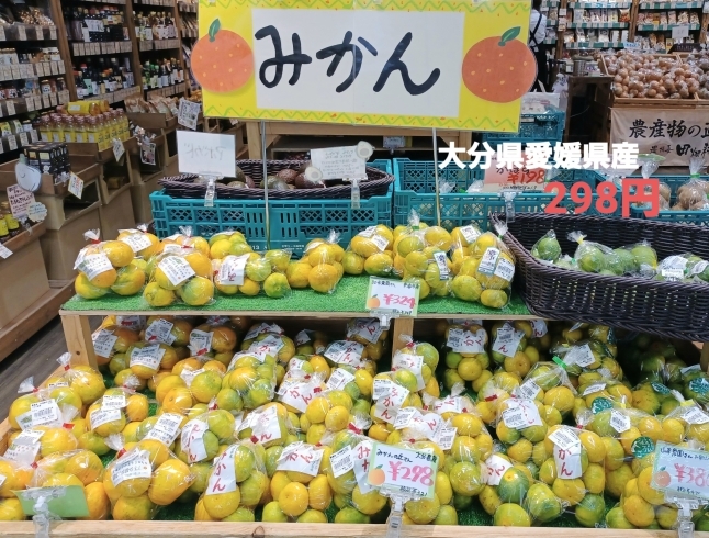 大分県愛媛県より直送 極早生みかん 入荷しております 大府市 野菜直売 農場長 田畑耕作 リソラ大府店のニュース まいぷれ 大府市 東海市