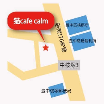 猫cafe Calm ネコカフェカーム カフェ 喫茶店 まいぷれ 豊中市